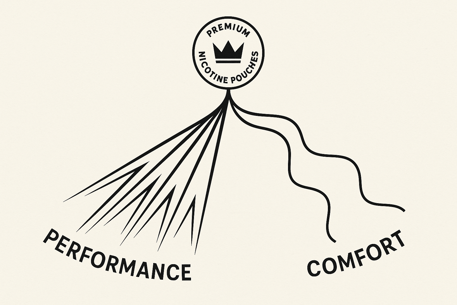 A diagram illustrating the market bifurcation into 